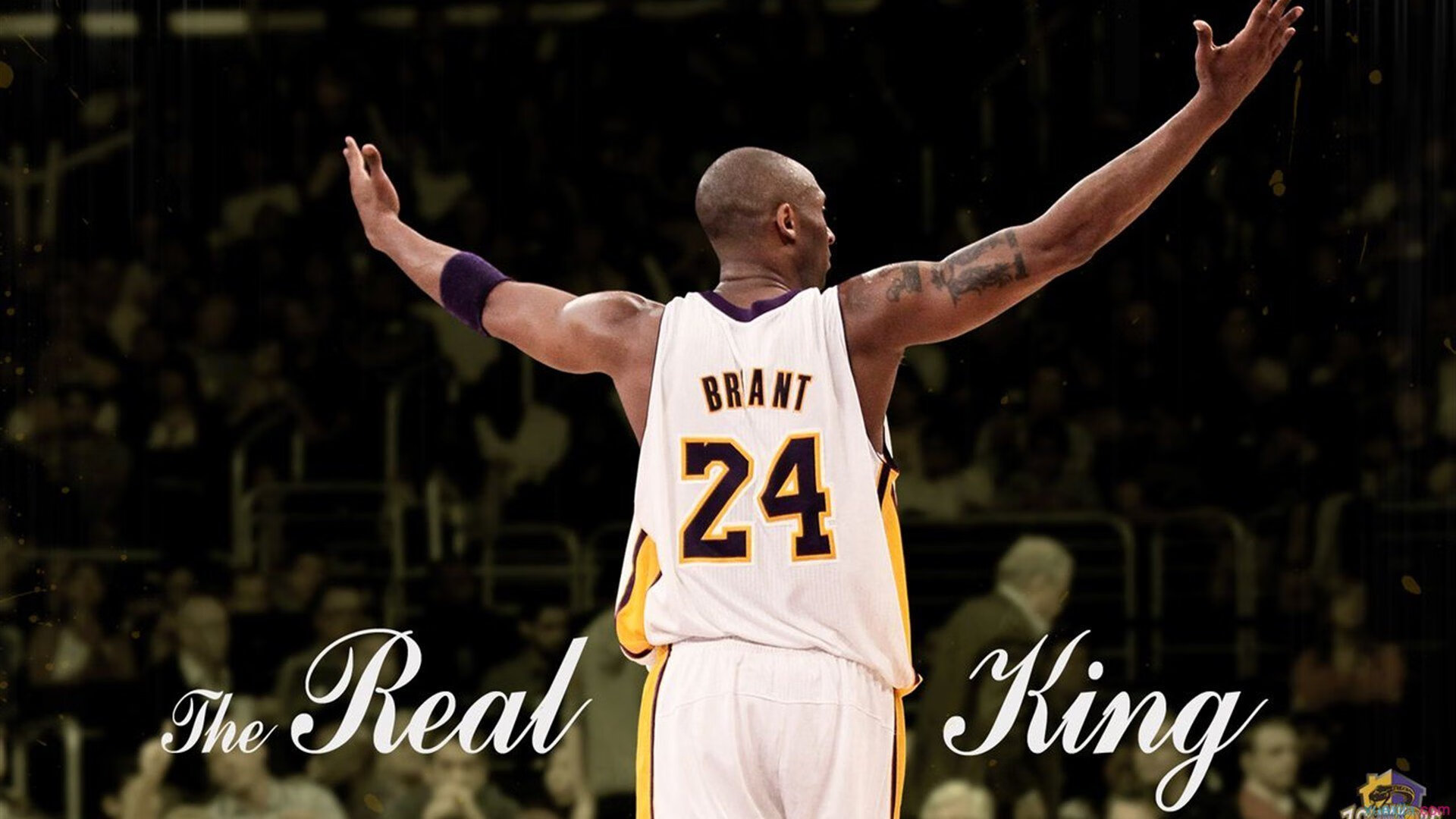 全国青少年篮赛精彩瞬间集锦，展现少年风采，2021年青少年篮球比赛