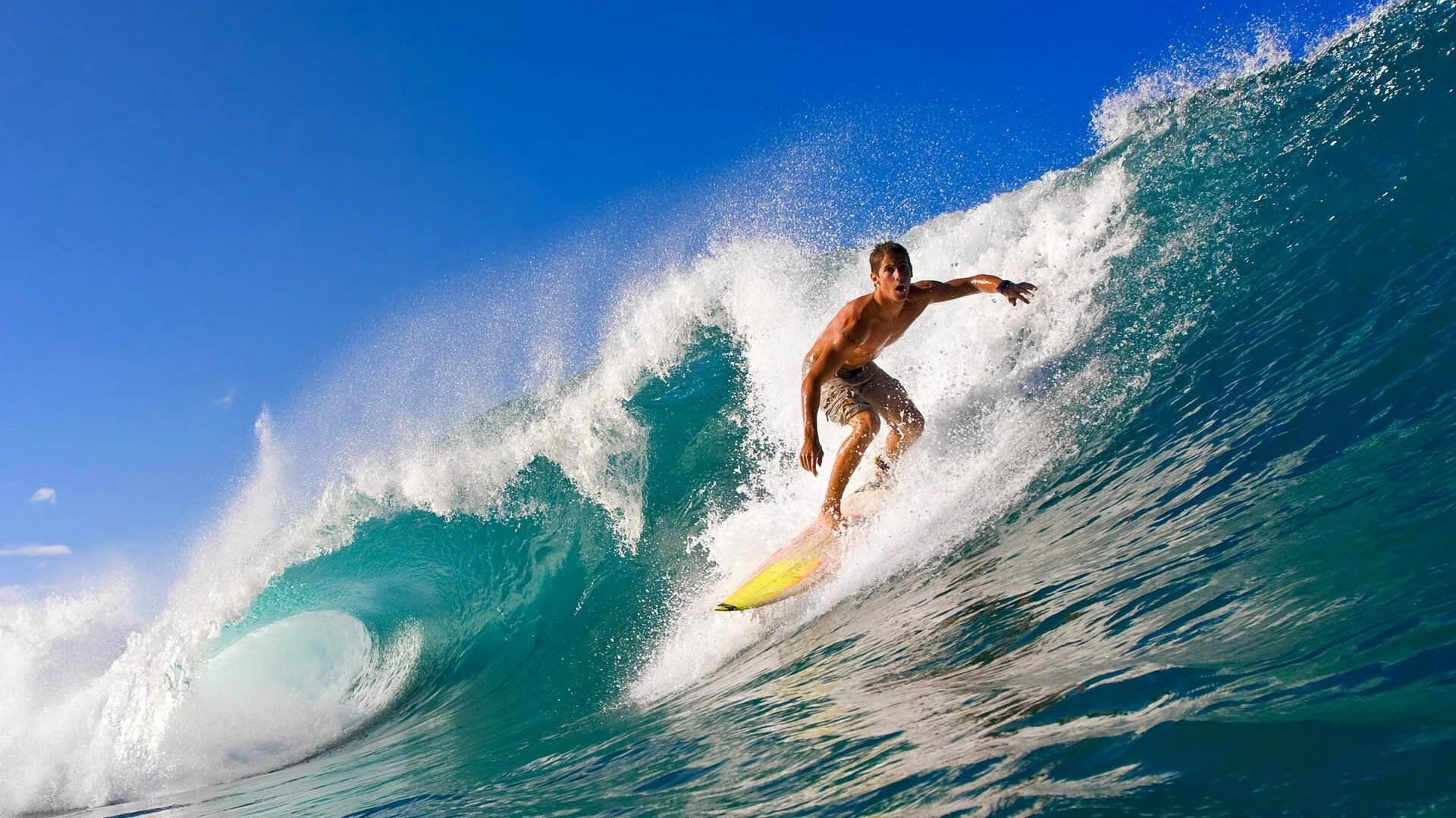 运动员的成长日记：记录每一次挑战，运动员的历程